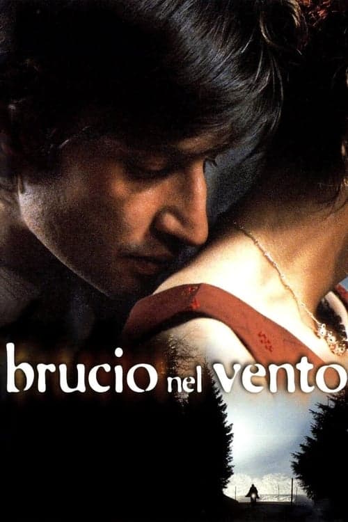 Brucio nel vento