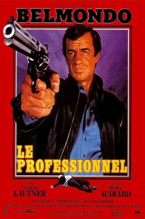 Le Professionnel