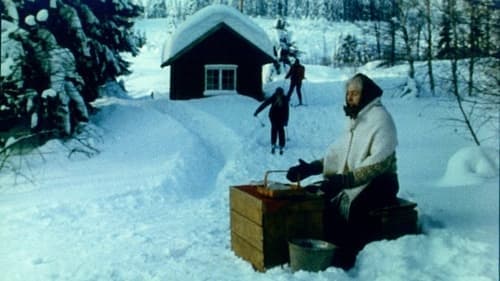 Mormor og de åtte ungene i skogen