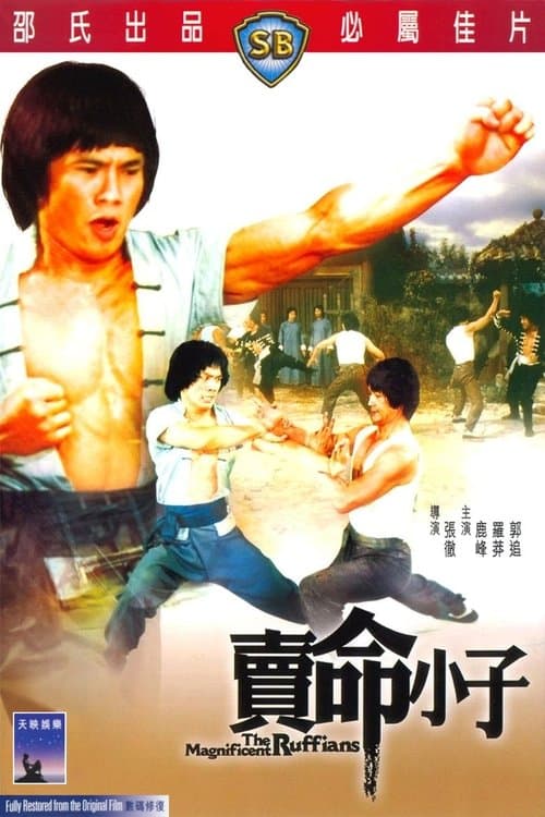 賣命小子