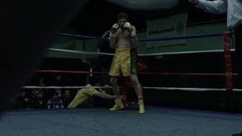 El halcón