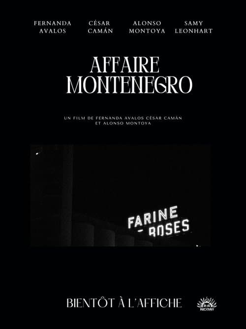 Affaire Montenegro