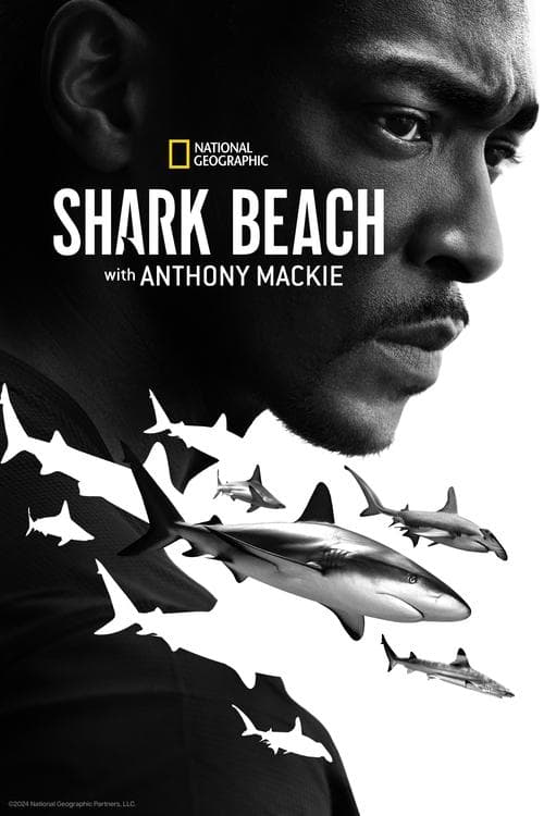 Shark Beach with Anthony Mackie