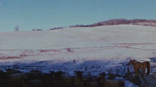 Horizons
