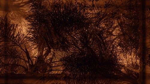 Apocalipse