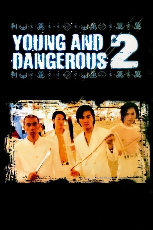 Người Trong Giang Hồ II: Mãnh Long Quá Giang