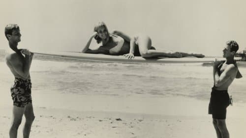 Hit the Surf