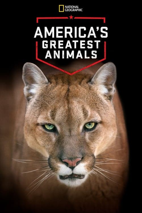 America's Greatest Animals