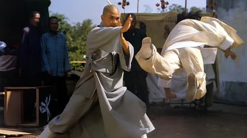 佛掌羅漢拳