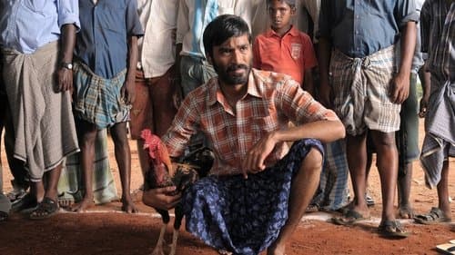 ஆடுகளம்