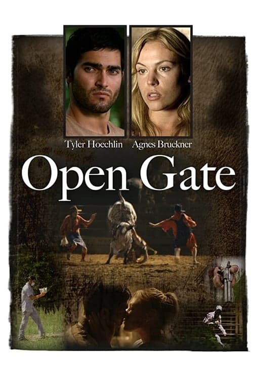 Open Gate