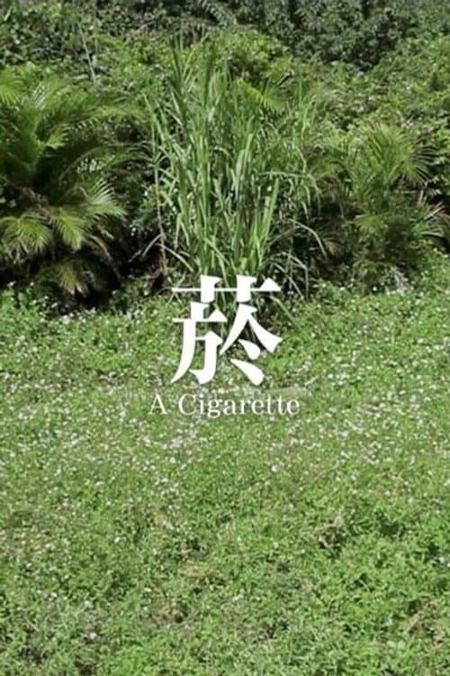 菸