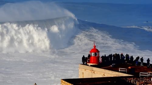 Die perfekte Welle: Big-Wave-Surfen in Portugal