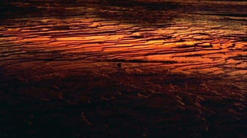 Faszination Natur - Die schönsten Landschaften der Welt