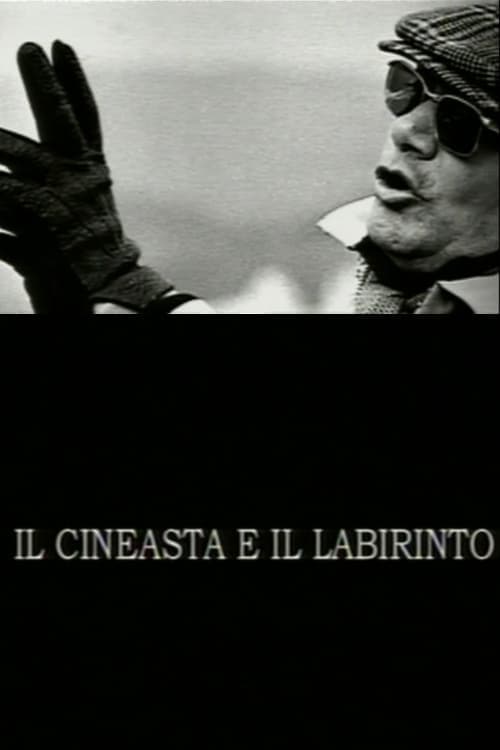 Il cineasta e il labirinto