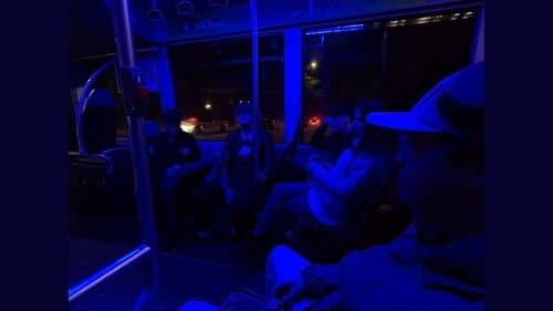 Untitled Mockumentary Comedy
