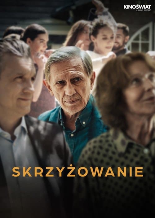 Skrzyżowanie