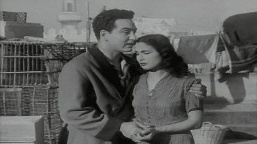نرجس