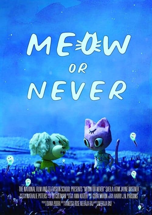 Meow or Never