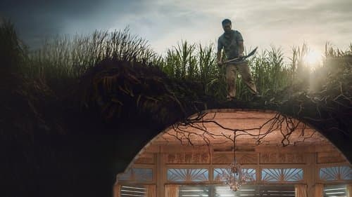 Hiểm nguy bên ngoài