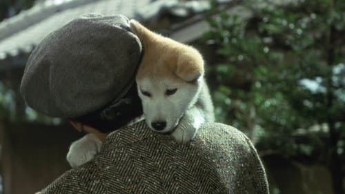 Câu Chuyện Về Chú Chó Hachiko