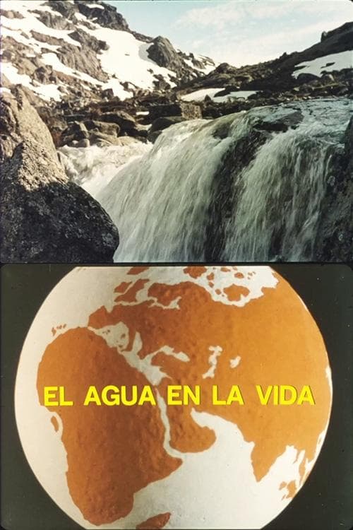 El agua en la vida