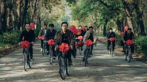 向光花盛开