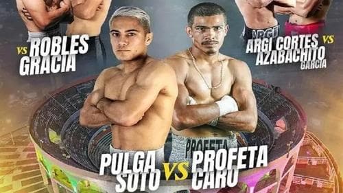 Elwin Soto vs. Moises Caro