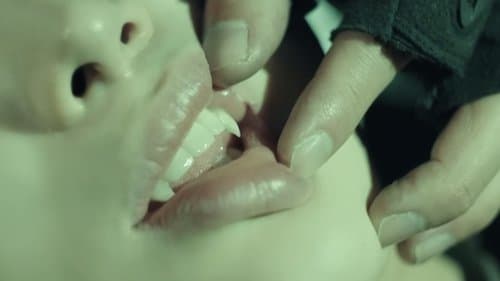 ENHYPEN (엔하이픈) UNTOLD Concept Cinema
