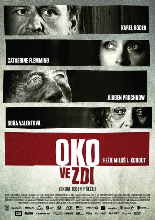 Oko ve zdi