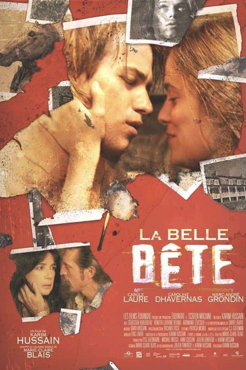 La belle bête