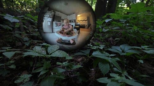 La fin d'un jour