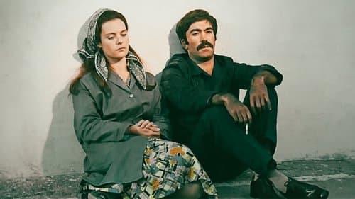 Diyet