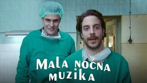 Мала ноћна музика