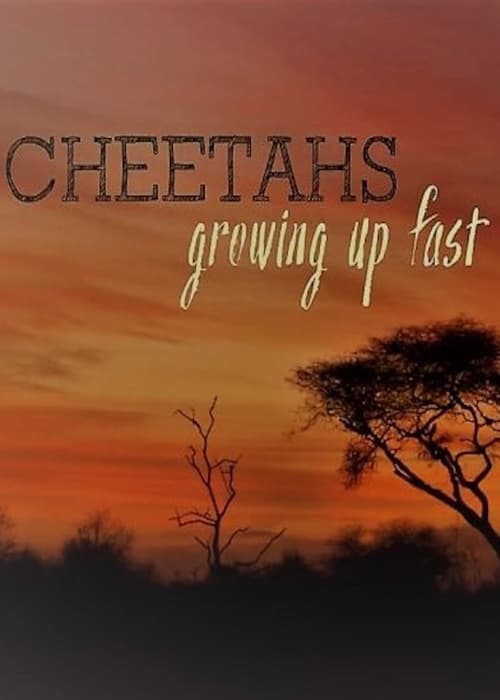 Cheetahs: Growing Up Fast