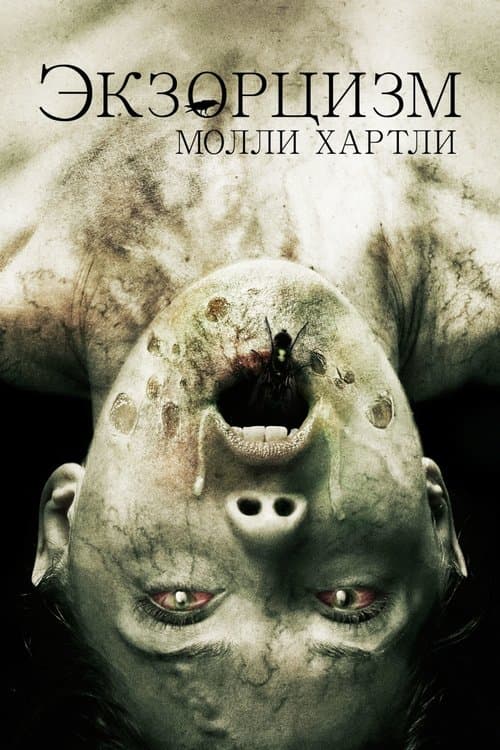 Nỗi Ám Ảnh Của Molly