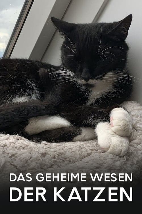 Das geheime Wesen der Katzen