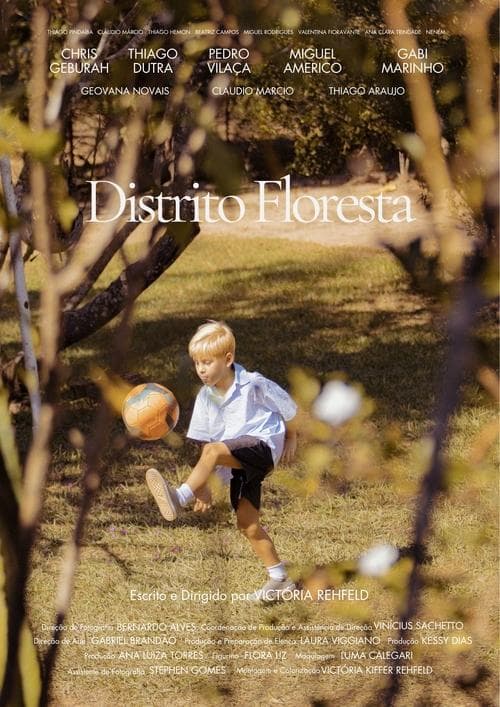 Distrito Floresta