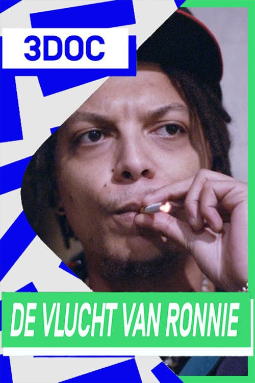 De Vlucht van Ronnie