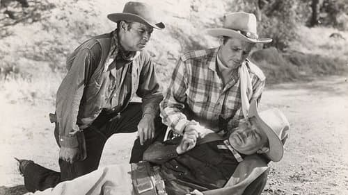 Texas Lawmen