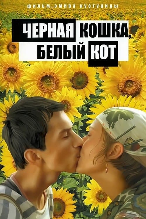 Crna mačka, beli mačor