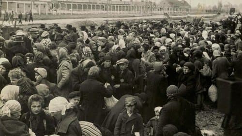 Ein Tag in Auschwitz