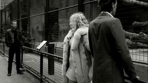 Venus in Furs
