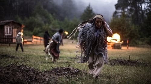 Mujeres del alba