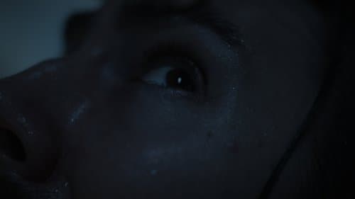 The Dysphoria