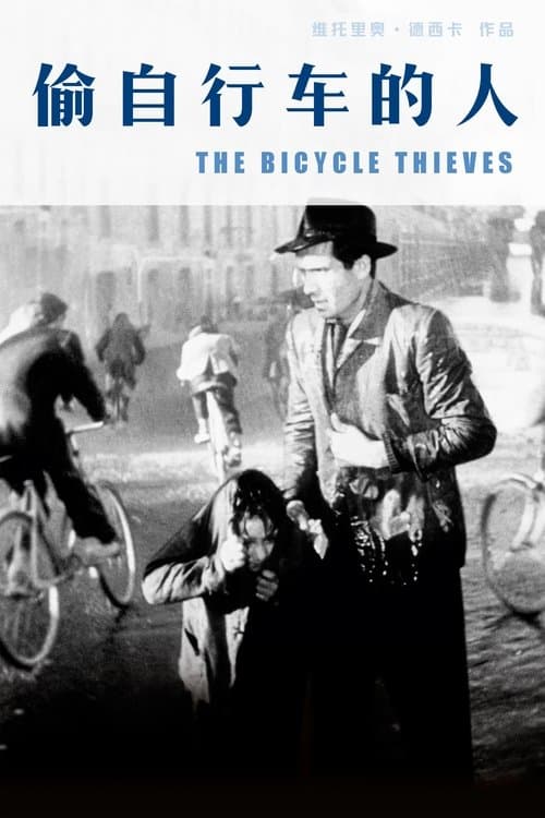 Ladri di biciclette