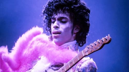 Prince: A Purple Reign