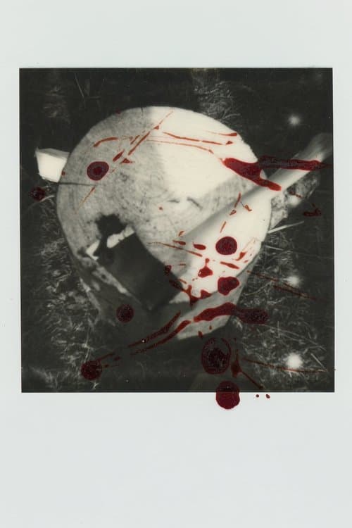 The Way Blood Flows