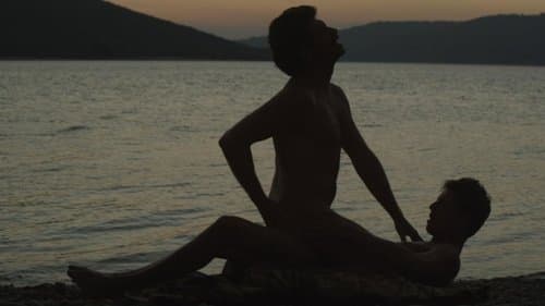 L'Inconnu du lac