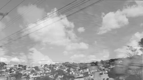 Páginas de escárnio ao imperador e aos pássaros que abandonam antenas